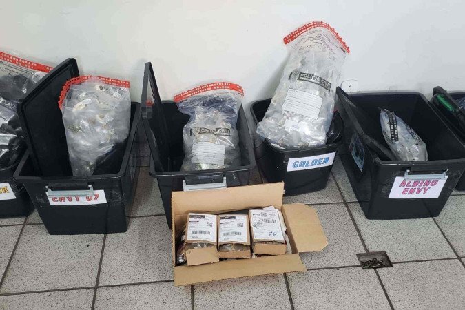 OperaÃ§Ã£o Psicose: quadrilha movimentava 1,5 tonelada de drogas