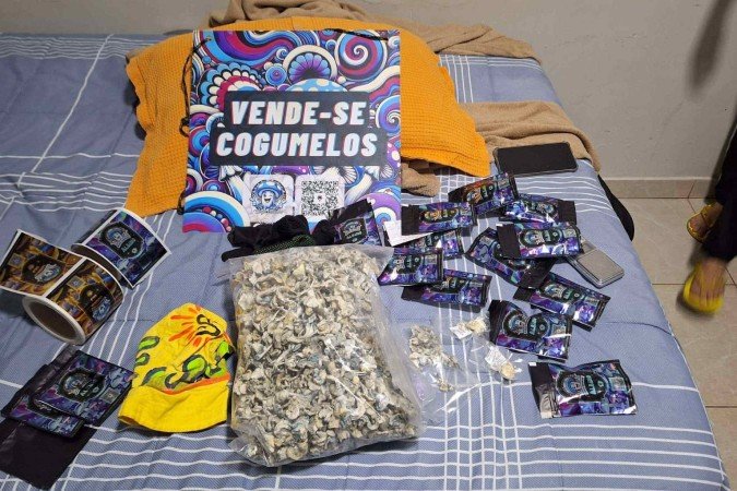 Operação Psicose: quadrilha movimentava 1,5 tonelada de drogas -  (crédito: Divulgação/Polícia Civil)