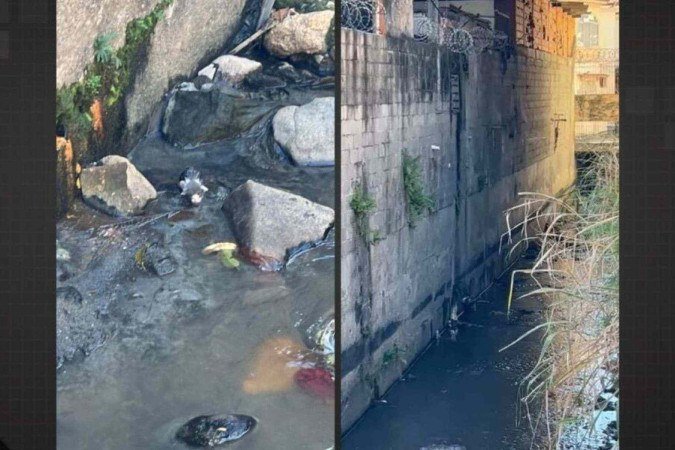Vídeo: mulher é flagrada jogando filhotes de gato em rio no Engenho Novo - (crédito: Tupi) Vídeo: mulher é flagrada jogando filhotes de gato em rio no Engenho Novo - (crédito: Tupi)