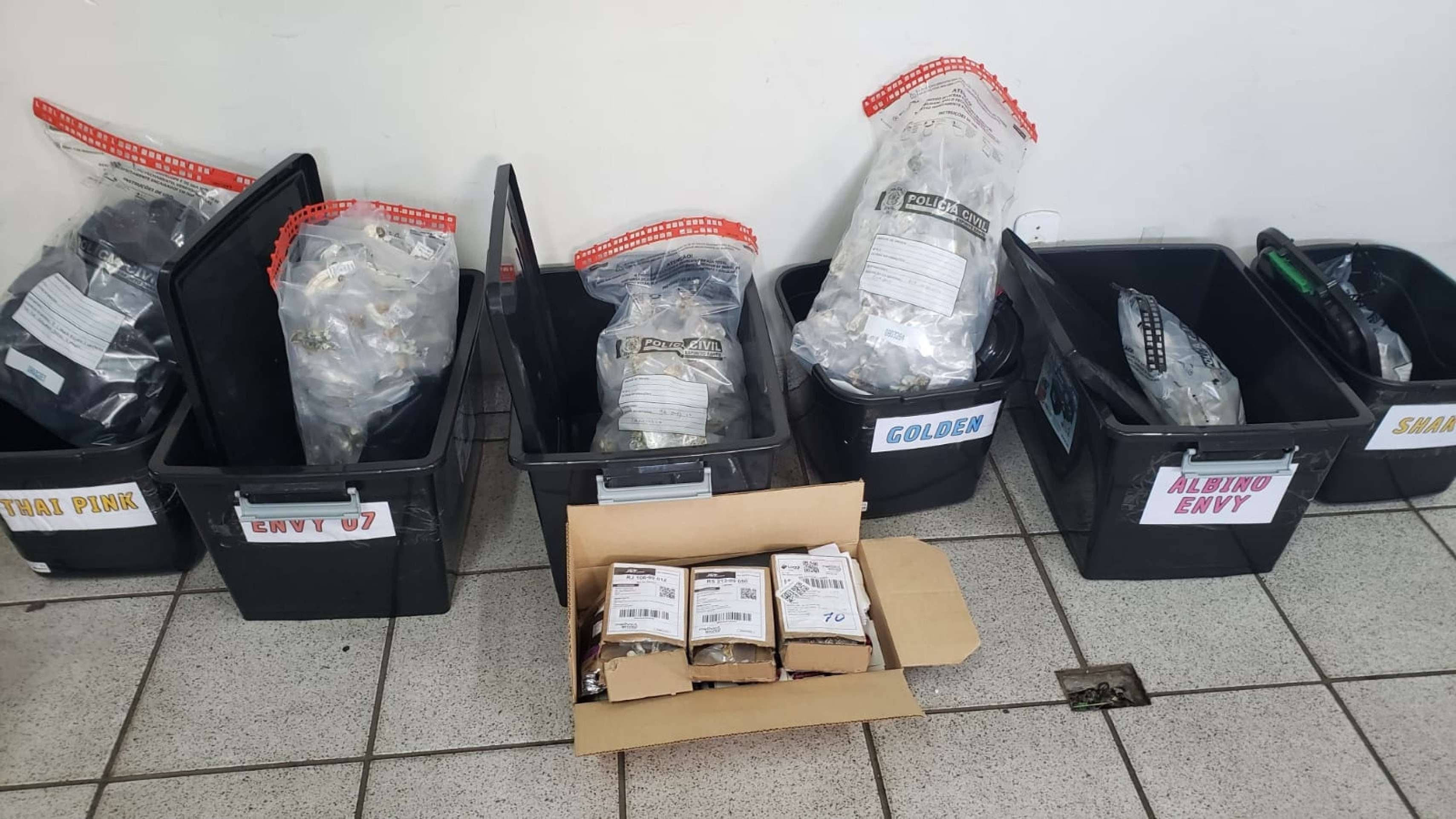 OperaÃ§Ã£o Psicose: quadrilha movimentava 1,5 tonelada de drogas