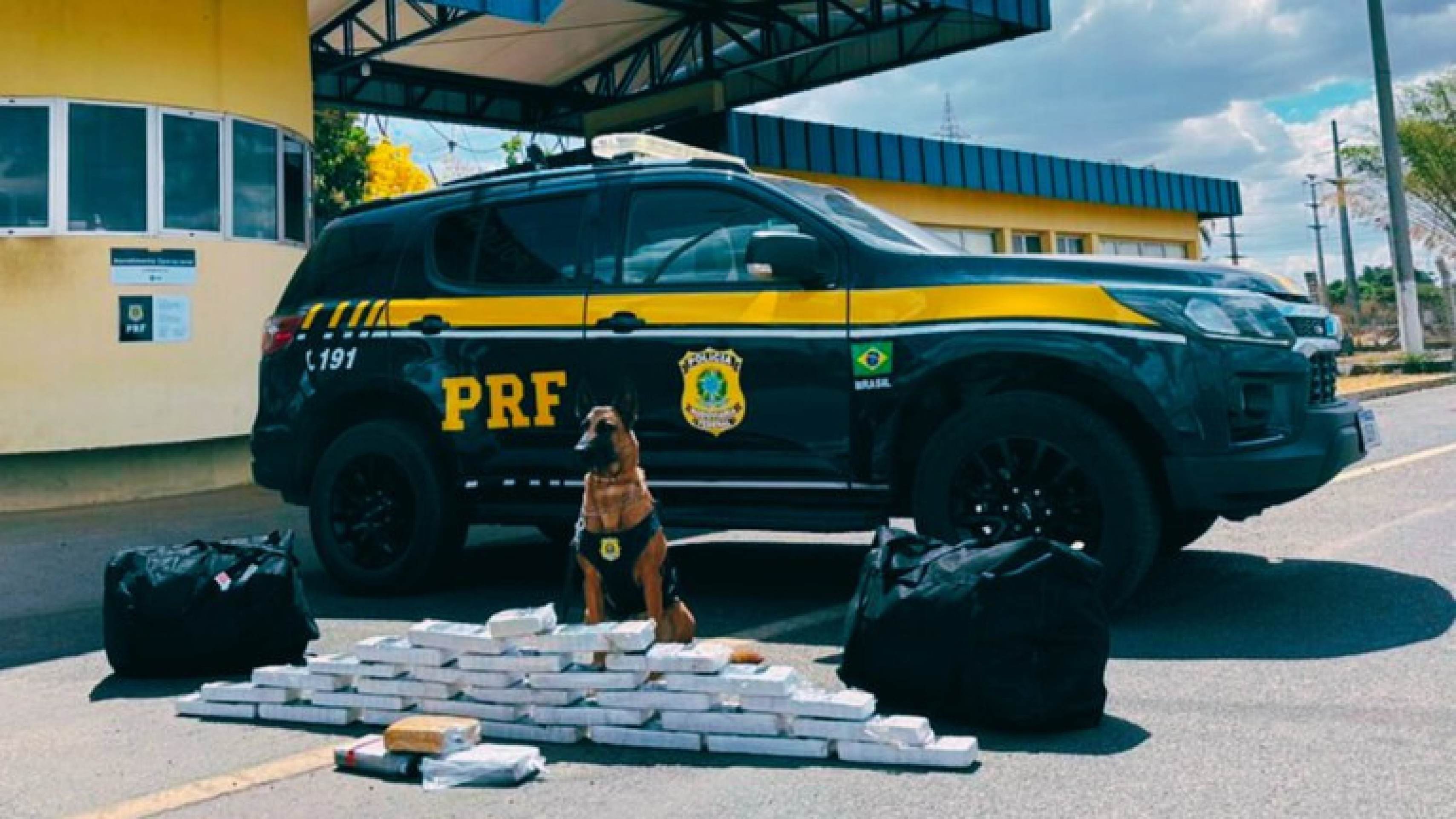 PRF apreende 30kg de drogas em malas de passageiro no DF