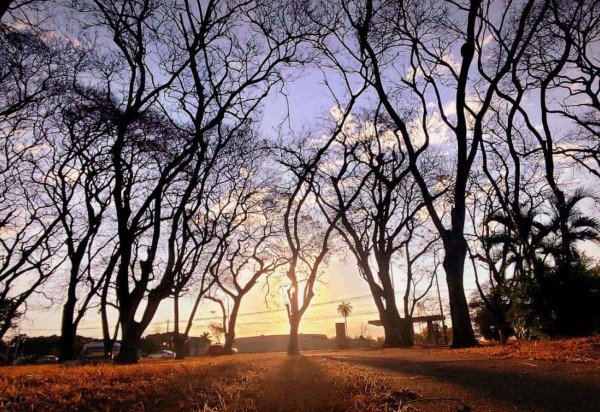 Ed Alves/CB/DA Press