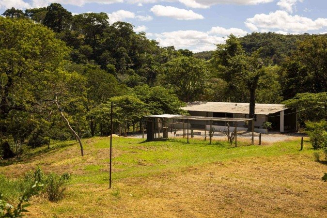 Caso ocorreu em uma chácara da Fercal -  (crédito: Arquivo Pessoal)