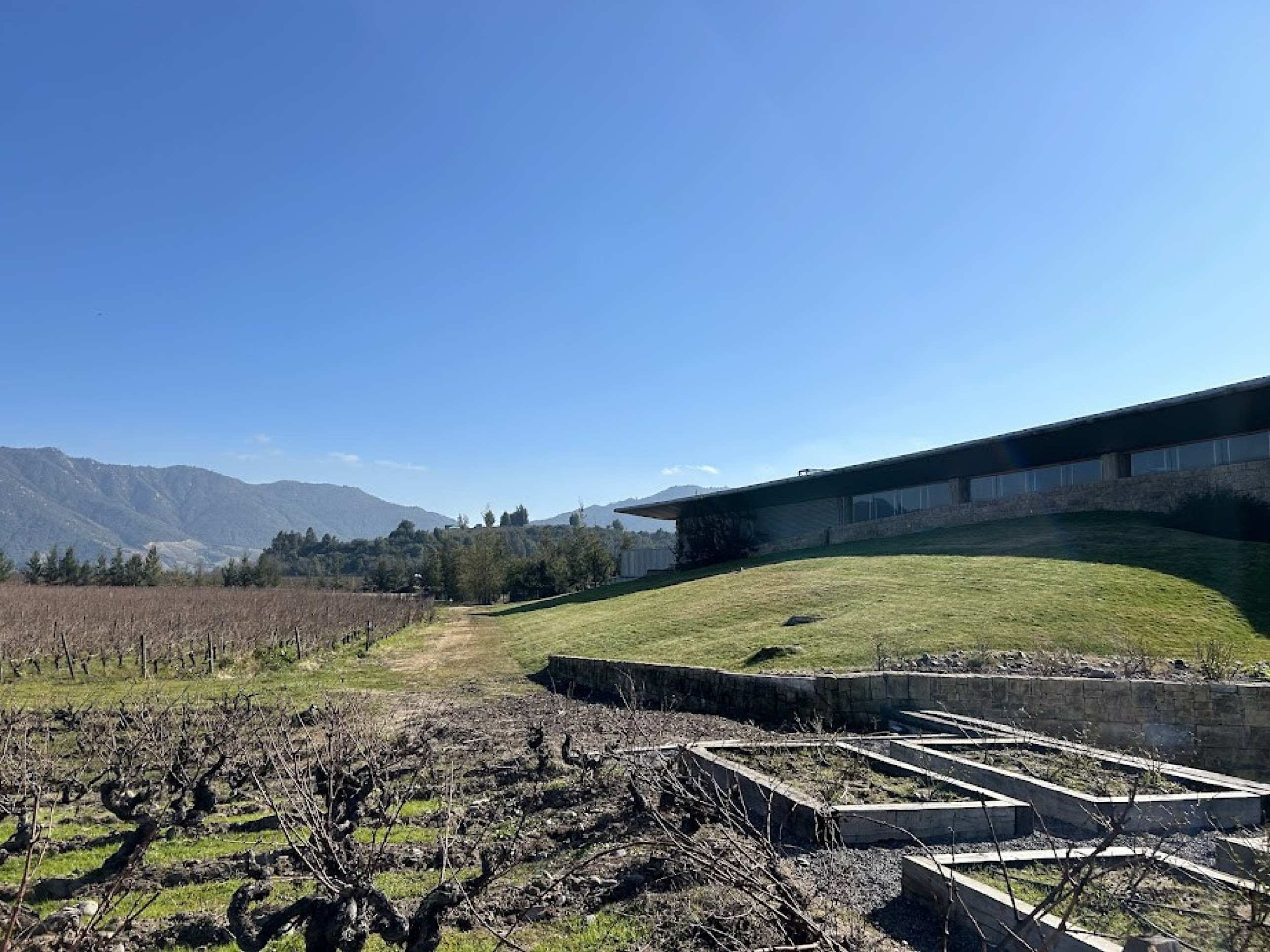 Dia do Vinho Chileno: vinícolas que valem a pena a visita