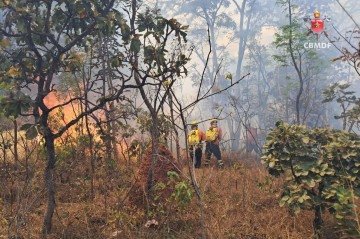 Incêndio no Park Way