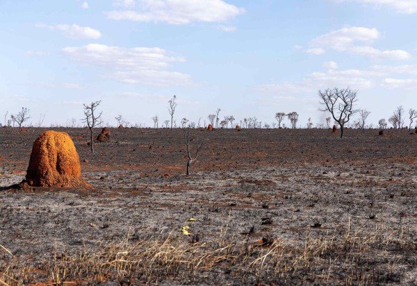  Mariana Campos/CB/D.A Press