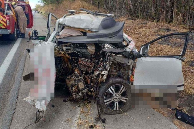 Danielle Mansur morreu ainda no local do acidente, junto aos seus três cães -  (crédito: Divulgação/CBMGO)