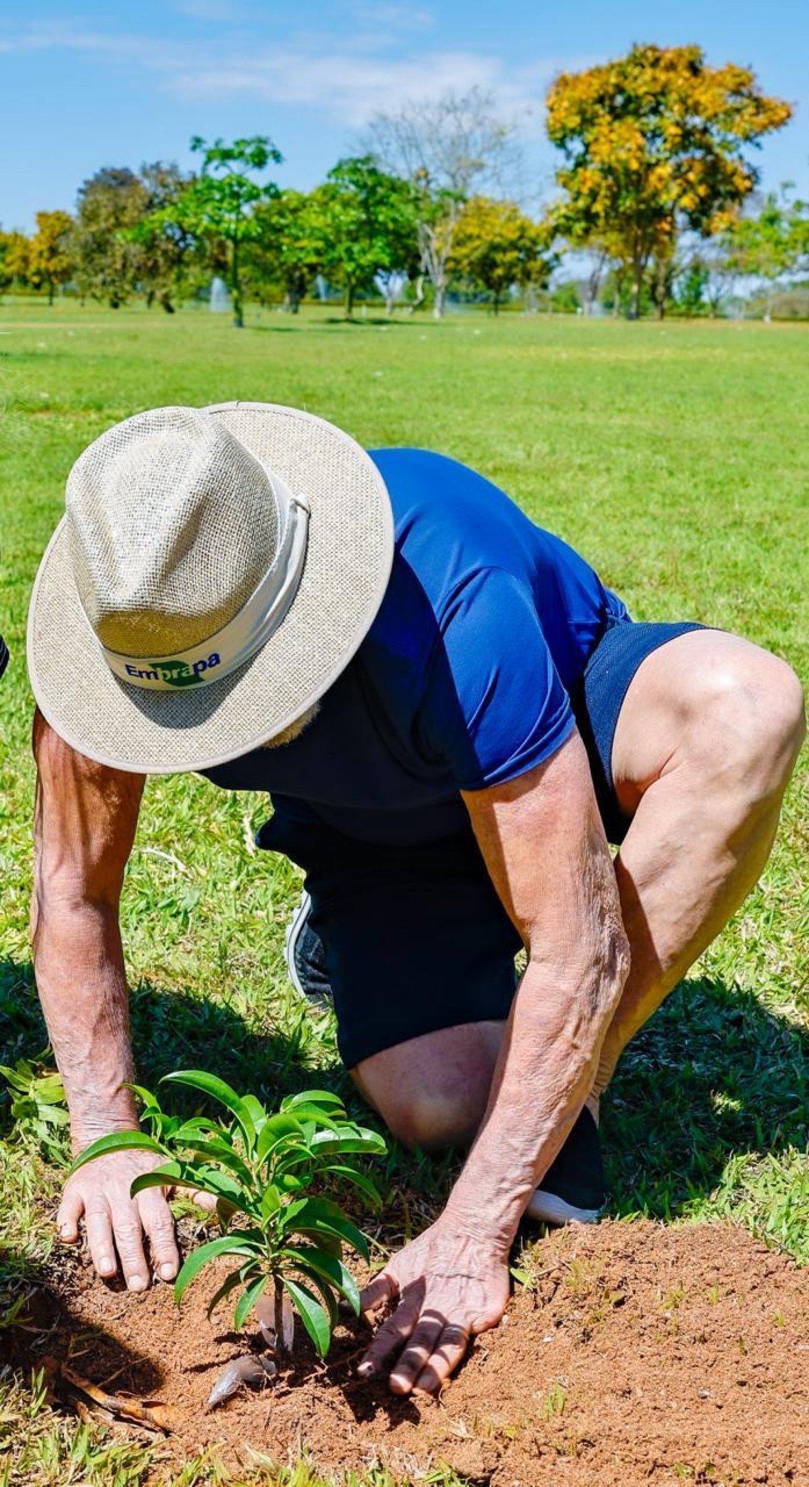 "Esse é o legítimo caju soberano".