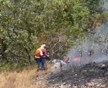 Incêndio em área de Cerrado, em São João d'Aliança-GO, portal da Chapada dos Veadeiros