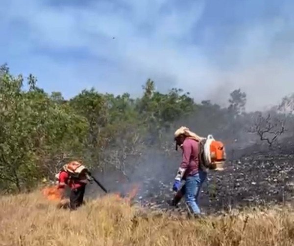 Sema-SJA/Reprodução