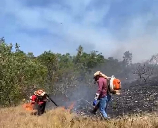 Incêndio em área de Cerrado, em São João d'Aliança-GO, portal da Chapada dos Veadeiros -  (crédito: Sema-SJA/Reprodução)