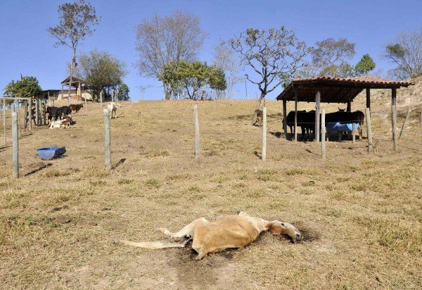 Fotos: Minervino Júnior/CB/D.A.Press