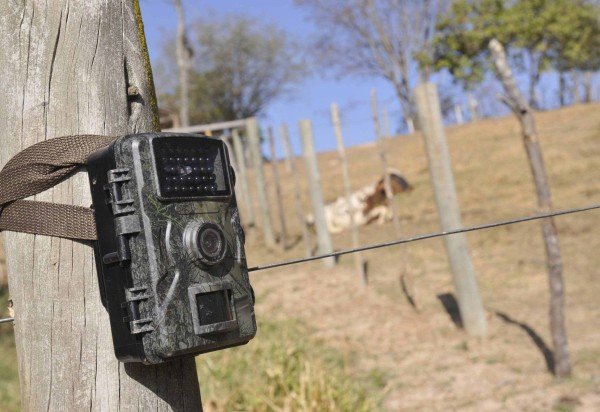 Minervino Júnior/CB/D.A.Press