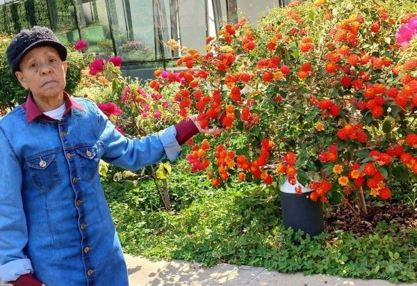 Material cedido ao Correio