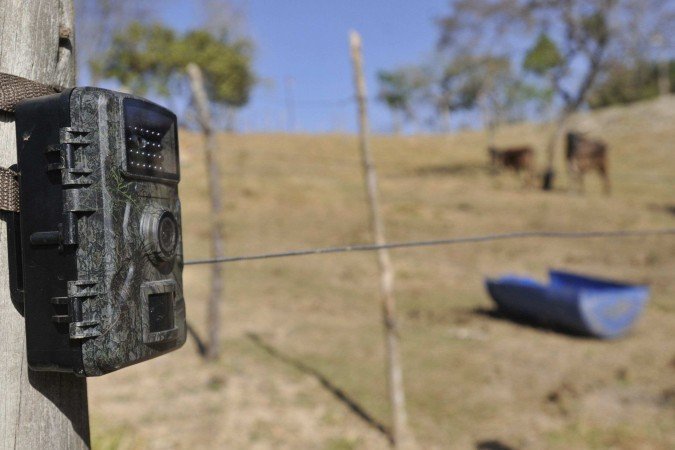  08/09/2025. Crédito: Minervino Júnior/CB/D.A Press. Brasil.  Brasilia - DF. Propriedade rural na Fercal que sofreu ataque de onça aos animais. Vaca e bezerro recém nascido morreram. Cameras de monitoramento da onça.