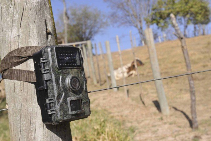  08/09/2025. Crédito: Minervino Júnior/CB/D.A Press. Brasil.  Brasilia - DF. Propriedade rural na Fercal que sofreu ataque de onça aos animais. Vaca e bezerro recém nascido morreram. Cameras de monitoramento da onça. -  (crédito: Minervino Júnior/CB/D.A.Press)