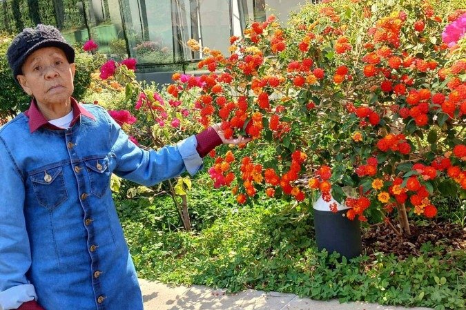 Dona Damiana será lembrada pela dedicação à família -  (crédito: Material cedido ao Correio)