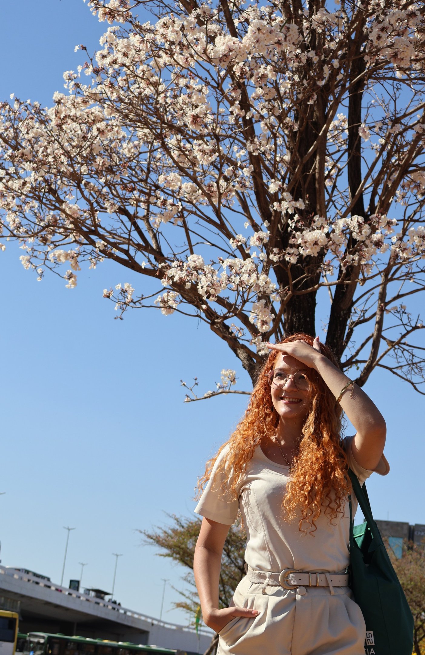 Rillary Oliveira admira o Ipê branco, ao lado Rodoviária do Plano Piloto todos os dias