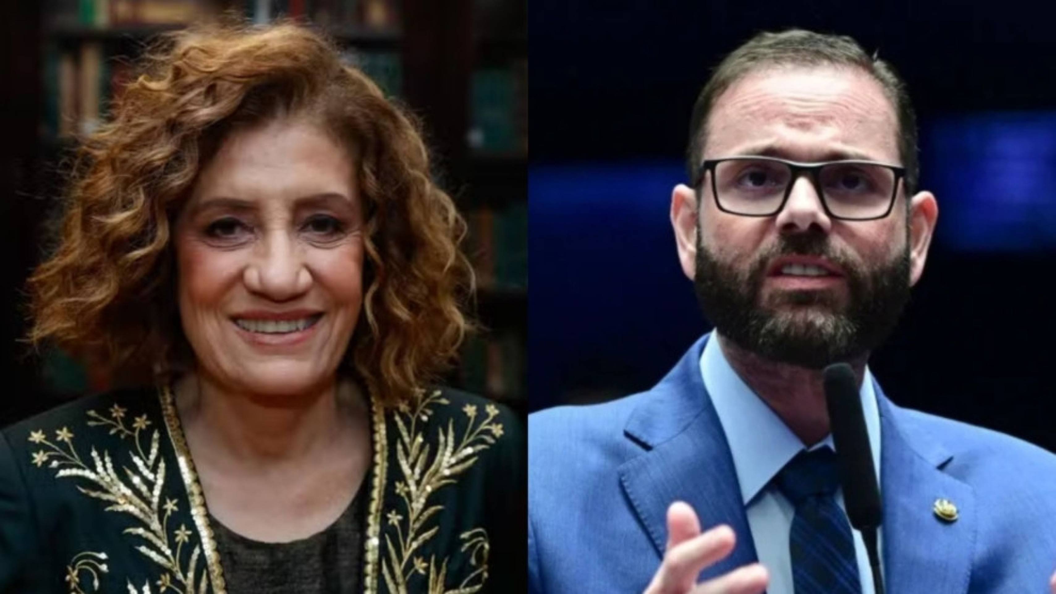 Míriam Leitão processa senador bolsonarista que mentiu sobre ela - Platobr Politica