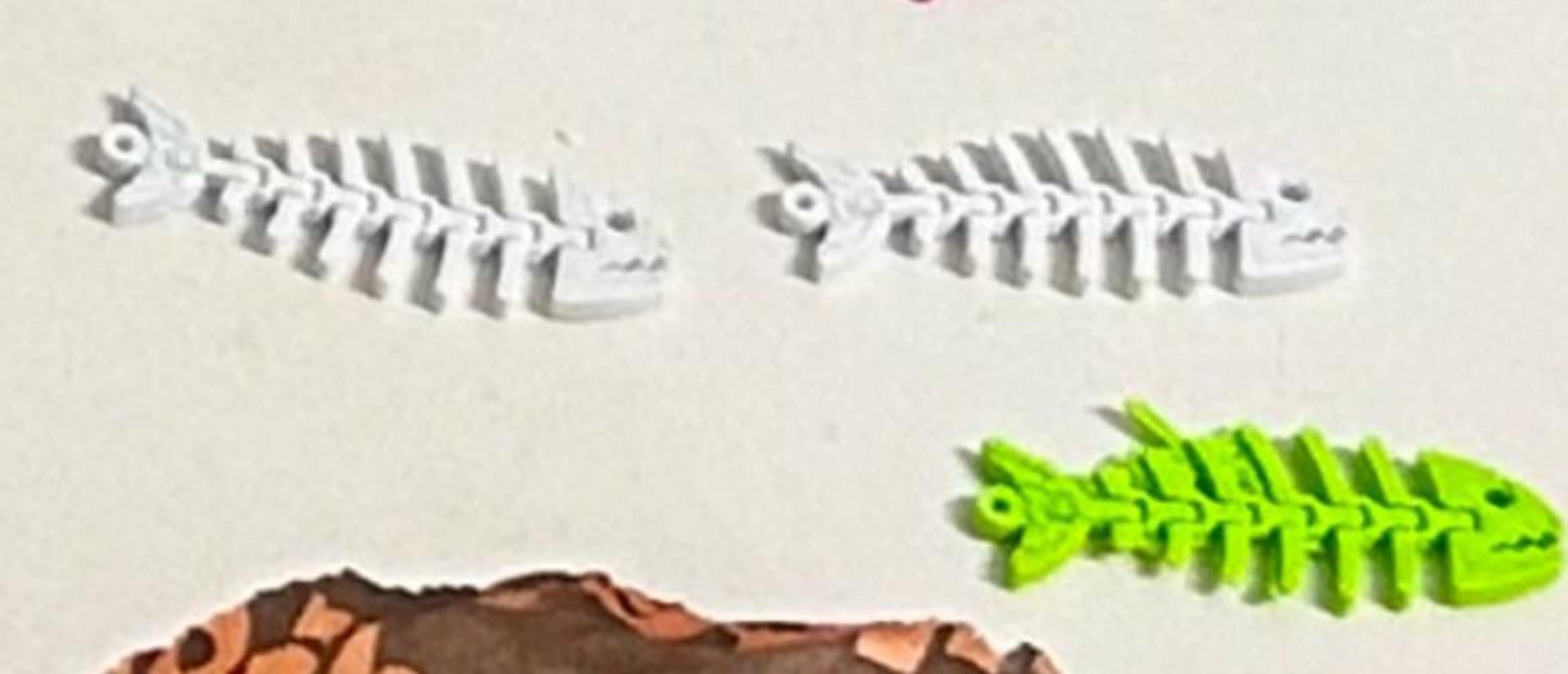 Criminosos usavam impressora 3D para criar brindes e fidelizar clientes