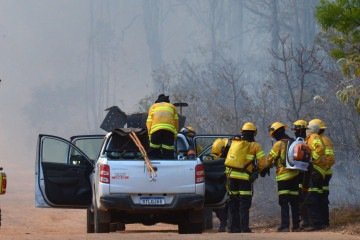 Incêndio mobilizou mais de 180 agentes -  (crédito:  Ed Alves/CB/D.A Press)
