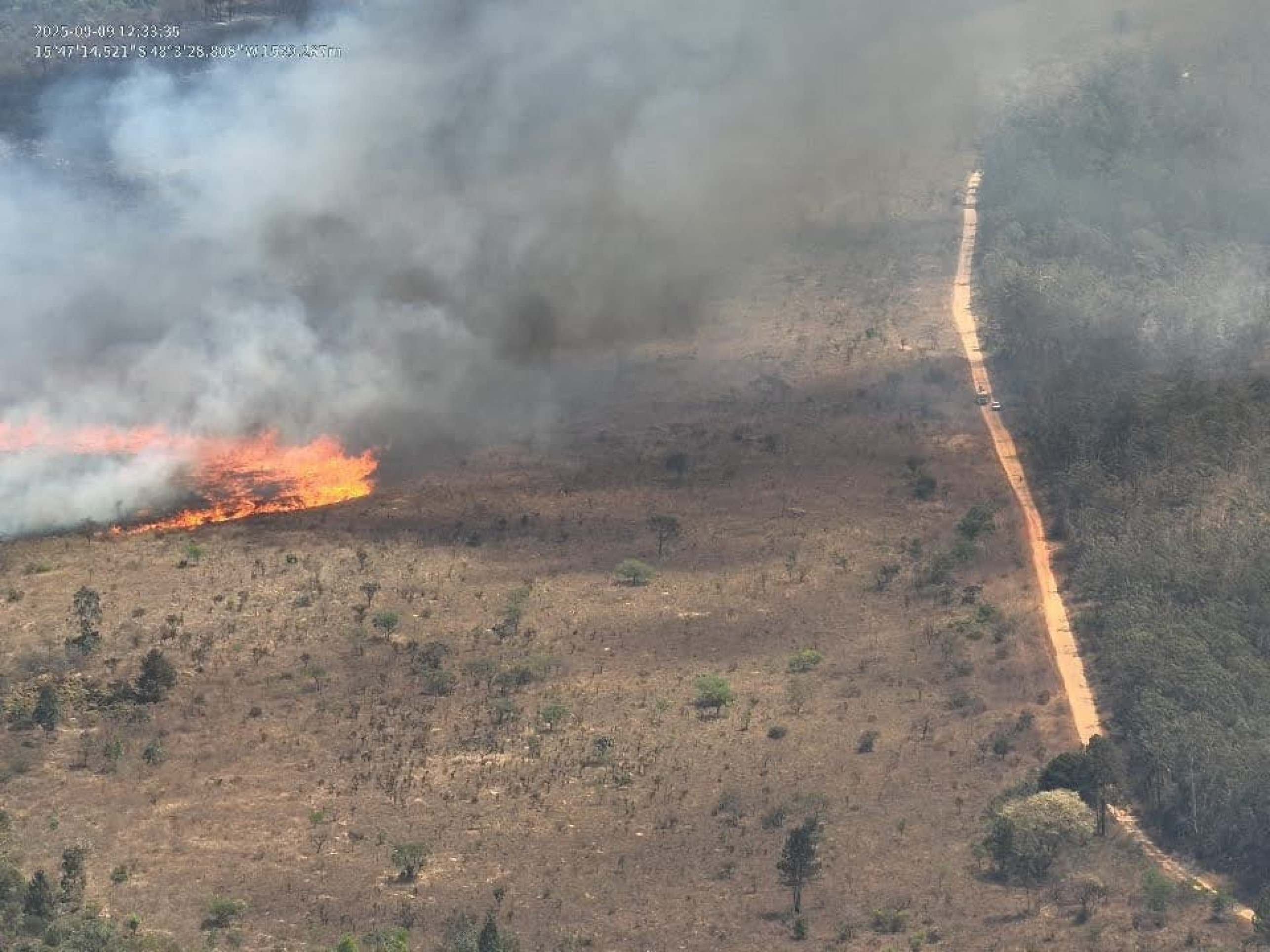 Incêndio atinge Floresta Nacional após queimadas às margens da BR-070