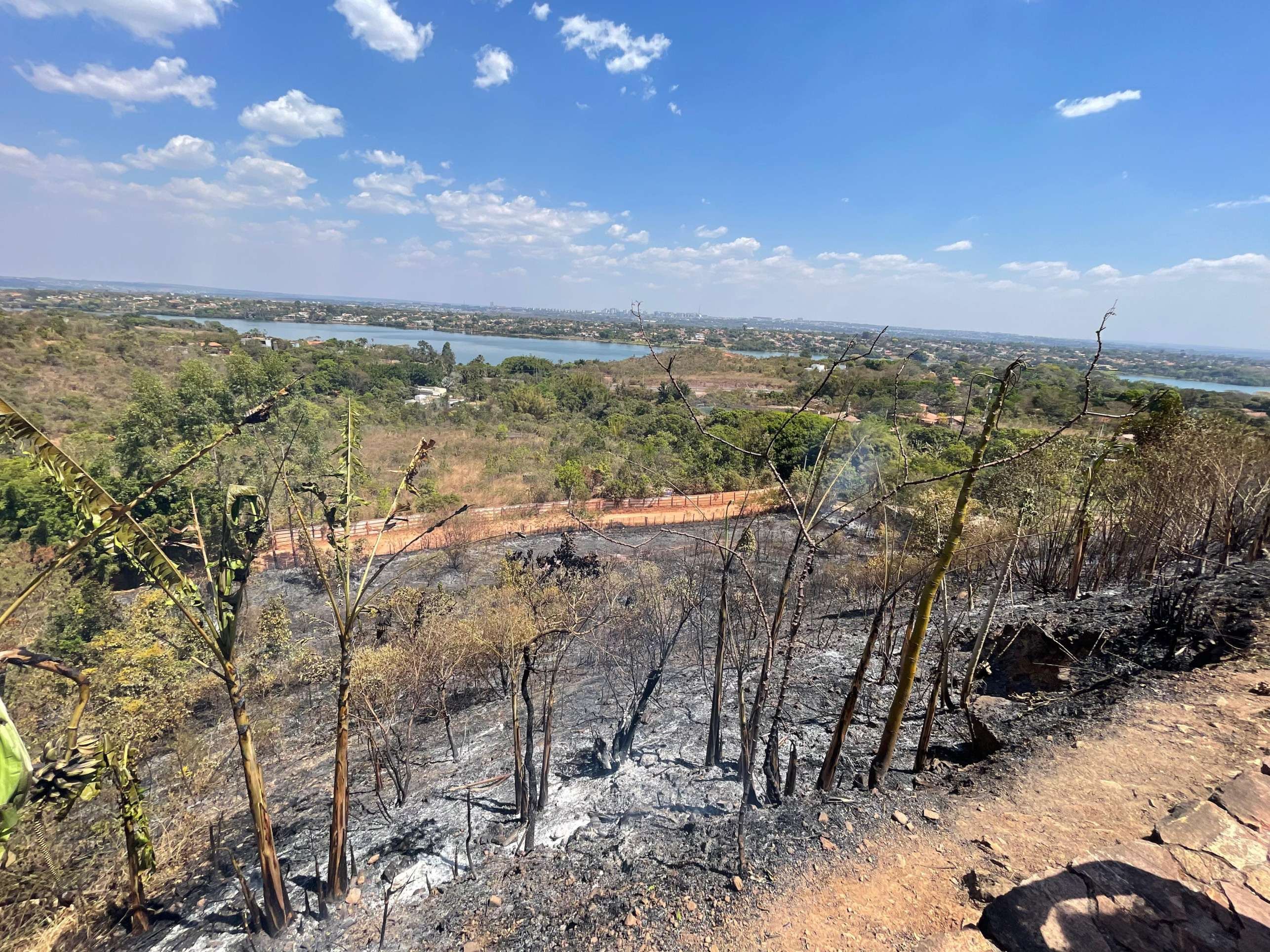 Brasil pode zerar emissões de carbono até 2040, aponta estudo