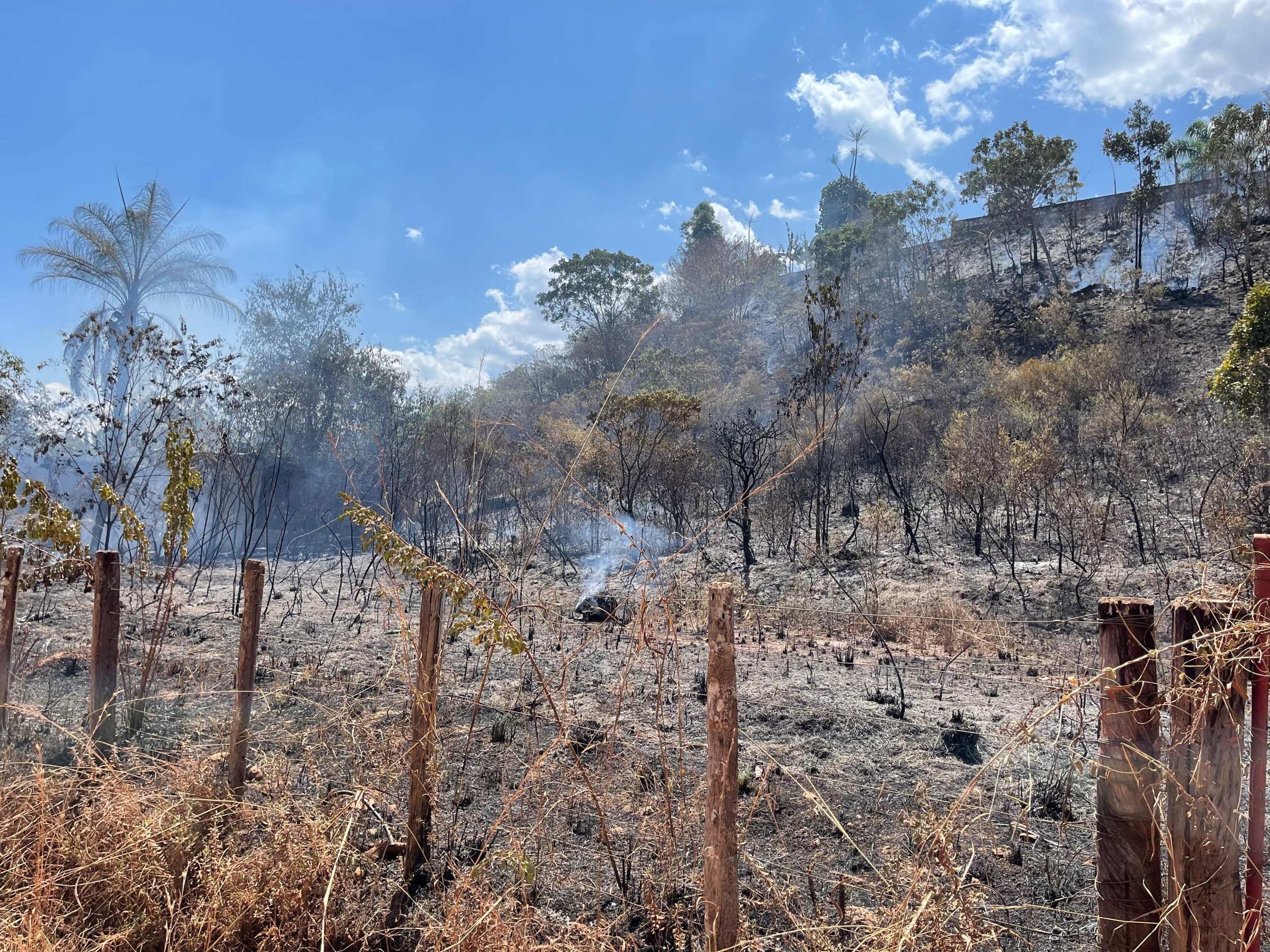 Segundo o Corpo de Bombeiros, a área queimada foi estimada em 5 mil metros quadrados e não houve registro de vítimas.