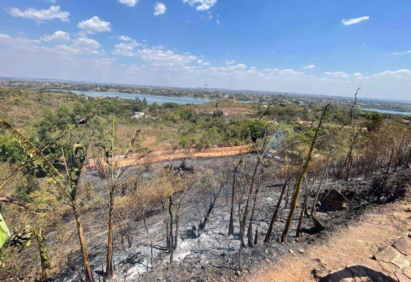 Davi Cruz/CB/D.A press