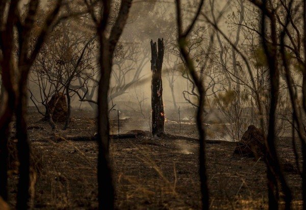 Marcelo Camargo/Agência Brasil