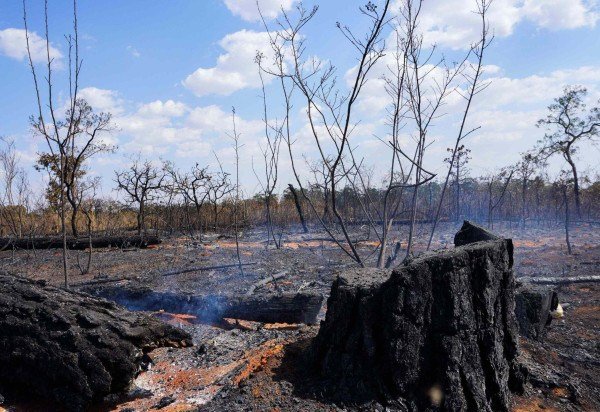  Guilherme Felix CB/DA Press.