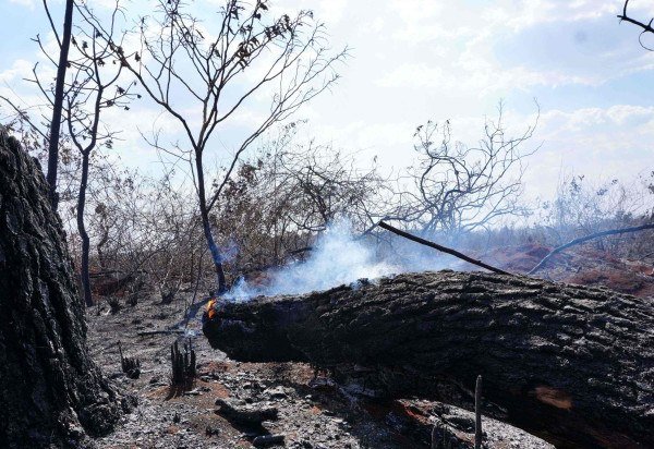 Guilherme Felix CB/DA Press.