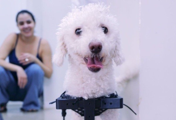 Reprodução/instagram/@uniceub_oficial