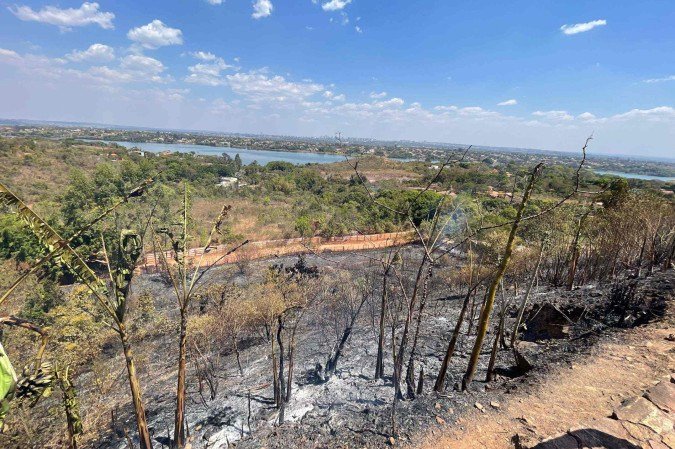 Segundo o Corpo de Bombeiros, a área queimada foi estimada em 5 mil metros quadrados e não houve registro de vítimas -  (crédito: Davi Cruz/CB/D.A press)
