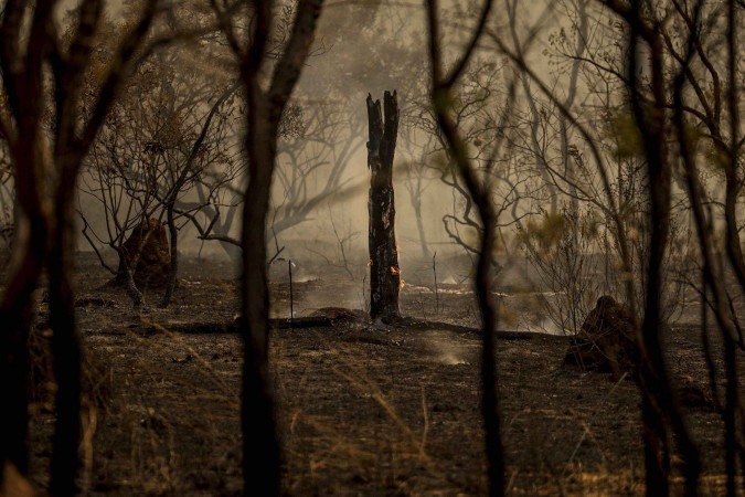 Incêndio em área próxima ao Aeroporto de Brasília: calor e umidade baixa aumentam riscos no Cerrado -  (crédito: Marcelo Camargo/Agência Brasil)