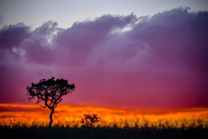 Imagem da fotógrafa Melissa Maurer presente na exposição Imagem da fotógrafa Melissa Maurer presente na exposição