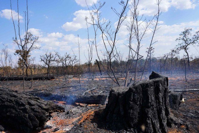  Incêndio na Flona nesta terça (9/09)  queimou quase 6% da área da unidade de conservação -  (crédito:  Guilherme Felix CB/DA Press.)