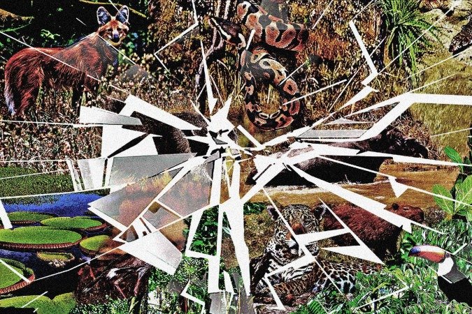 PRI-1109-OPINI -  (crédito: Maurenilson Freire)