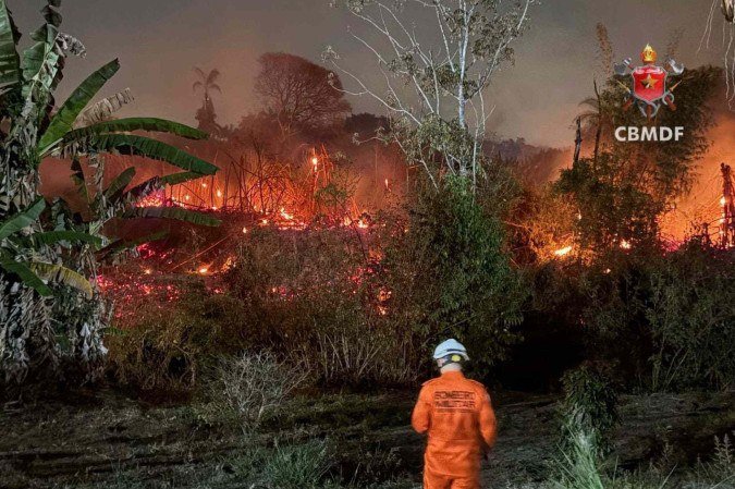 Incêndio atingiu área de bambuzal e foi controlado pelos Bombeiros -  (crédito: CBMDF/Divulgação)