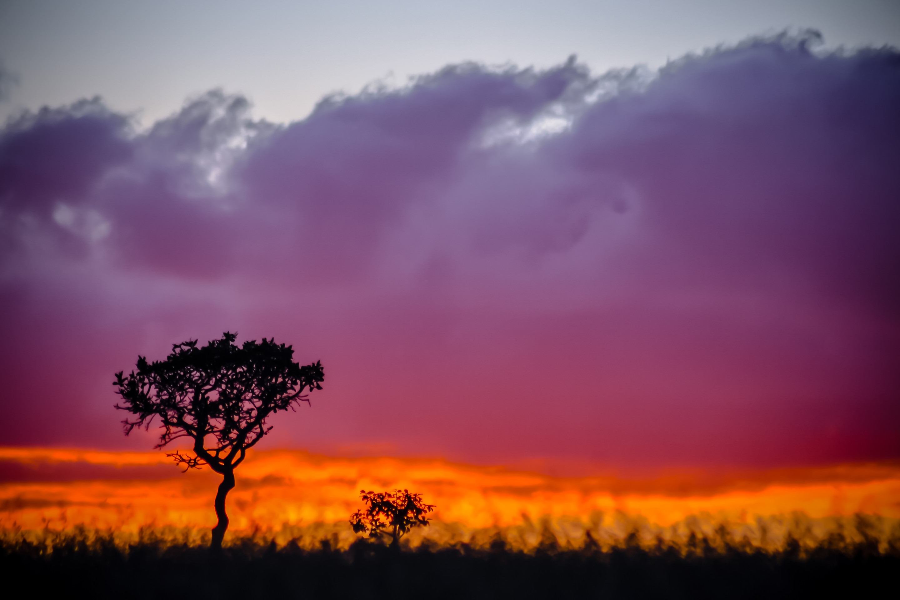 Fotógrafa Melissa Maurer abre exposição que celebra o Dia do Cerrado