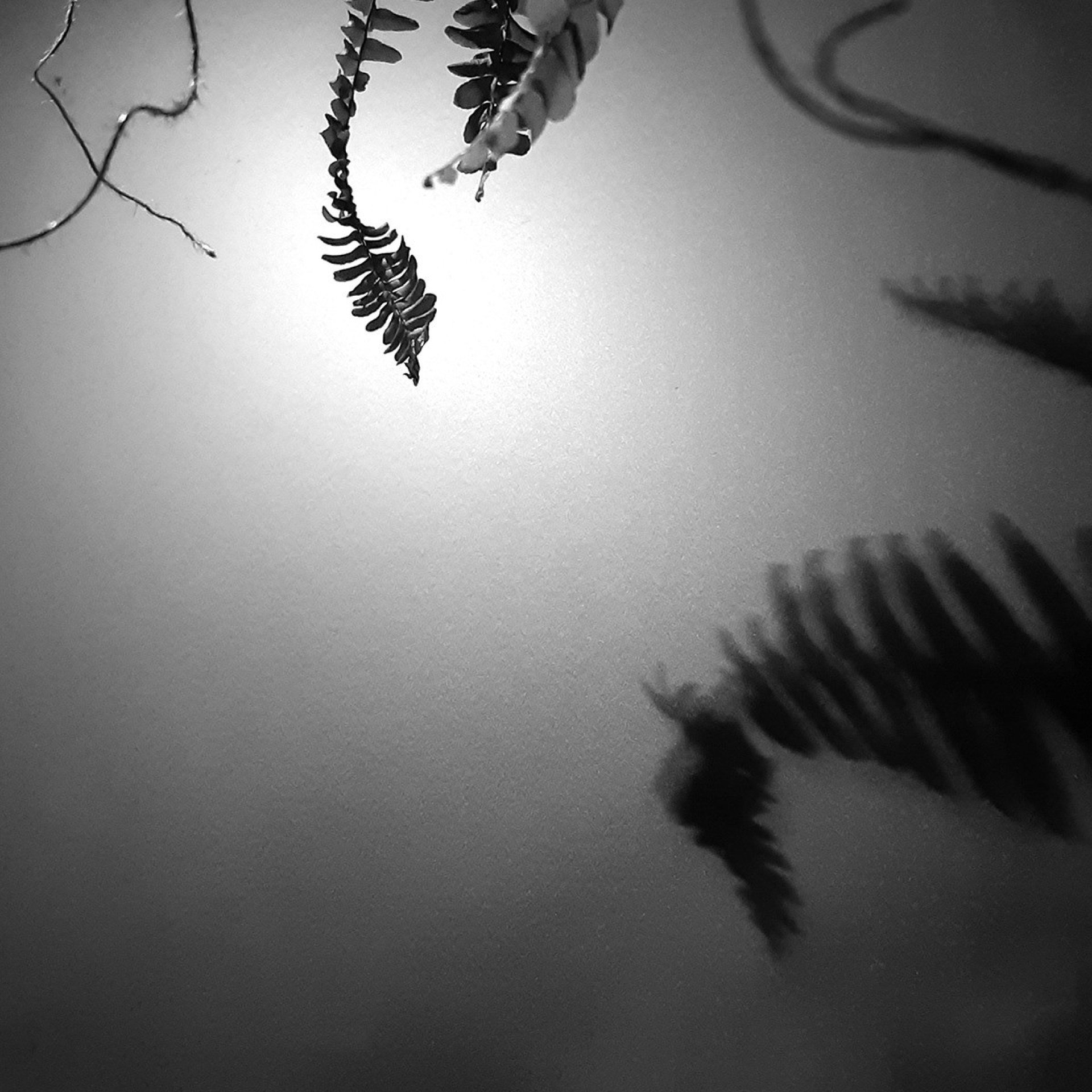 Meus Pequenos Espaços e Meus Tempos  Exposição de Dalton Camargos e Rinaldo Morelli. Em cartaz até 23 de setembro, na Galeria Mundo Vivo (SCLN 413, Bloco D), de terça a sábado, das 17h às 00h.  