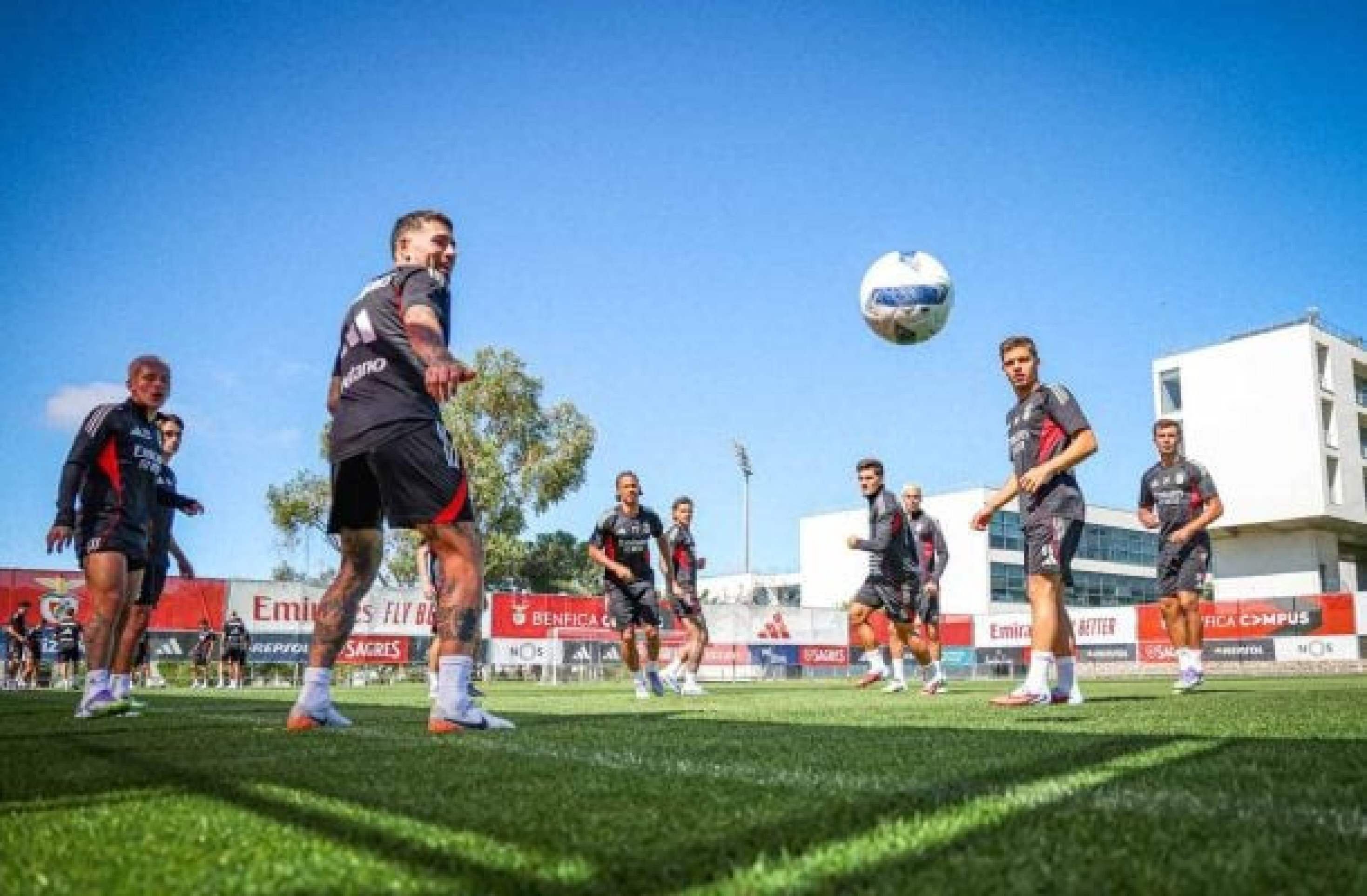 Benfica x Santa Clara: onde assistir, escalações e arbitragem