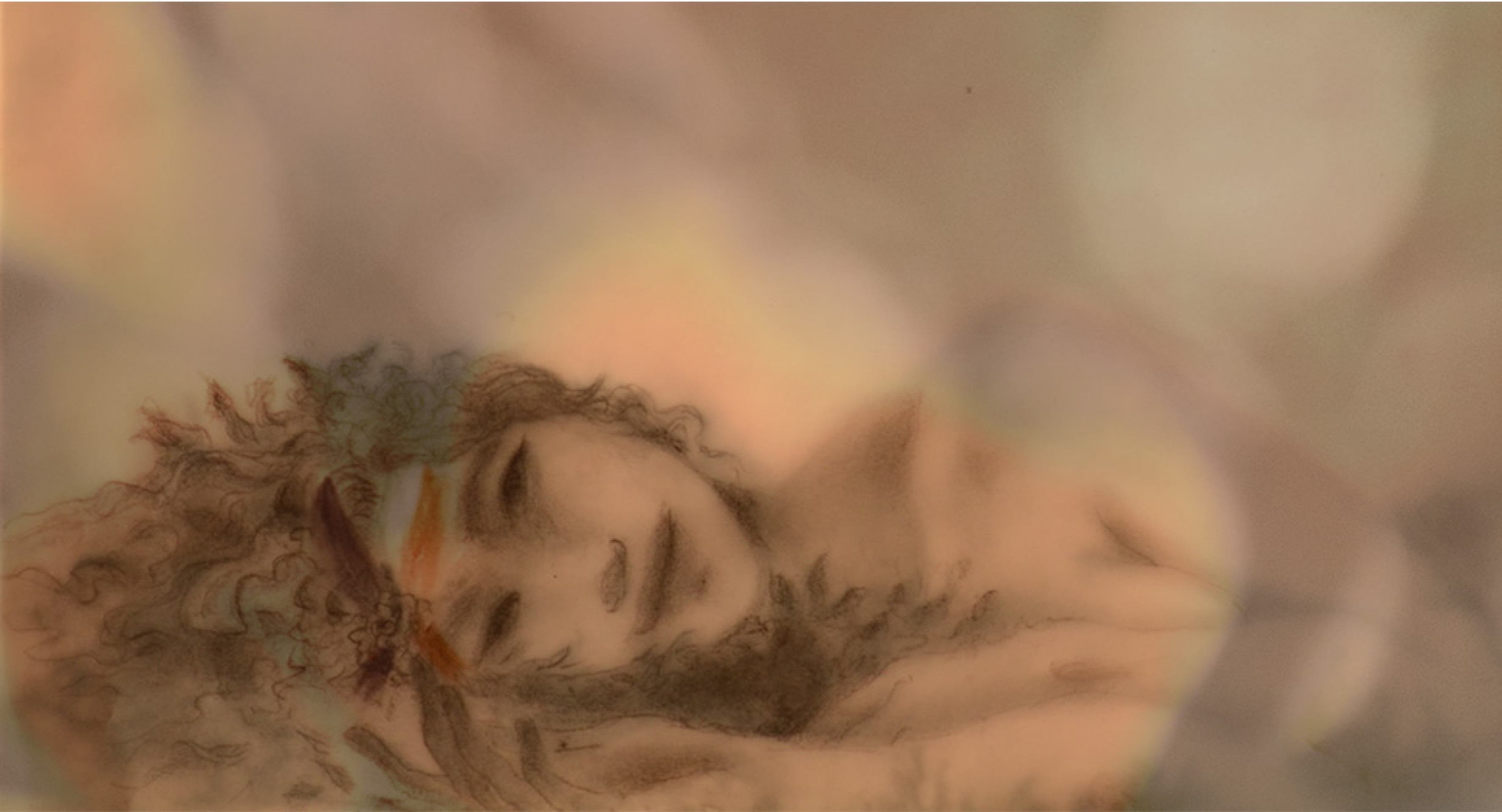 Safo, de Rosana Urbes (SP) 