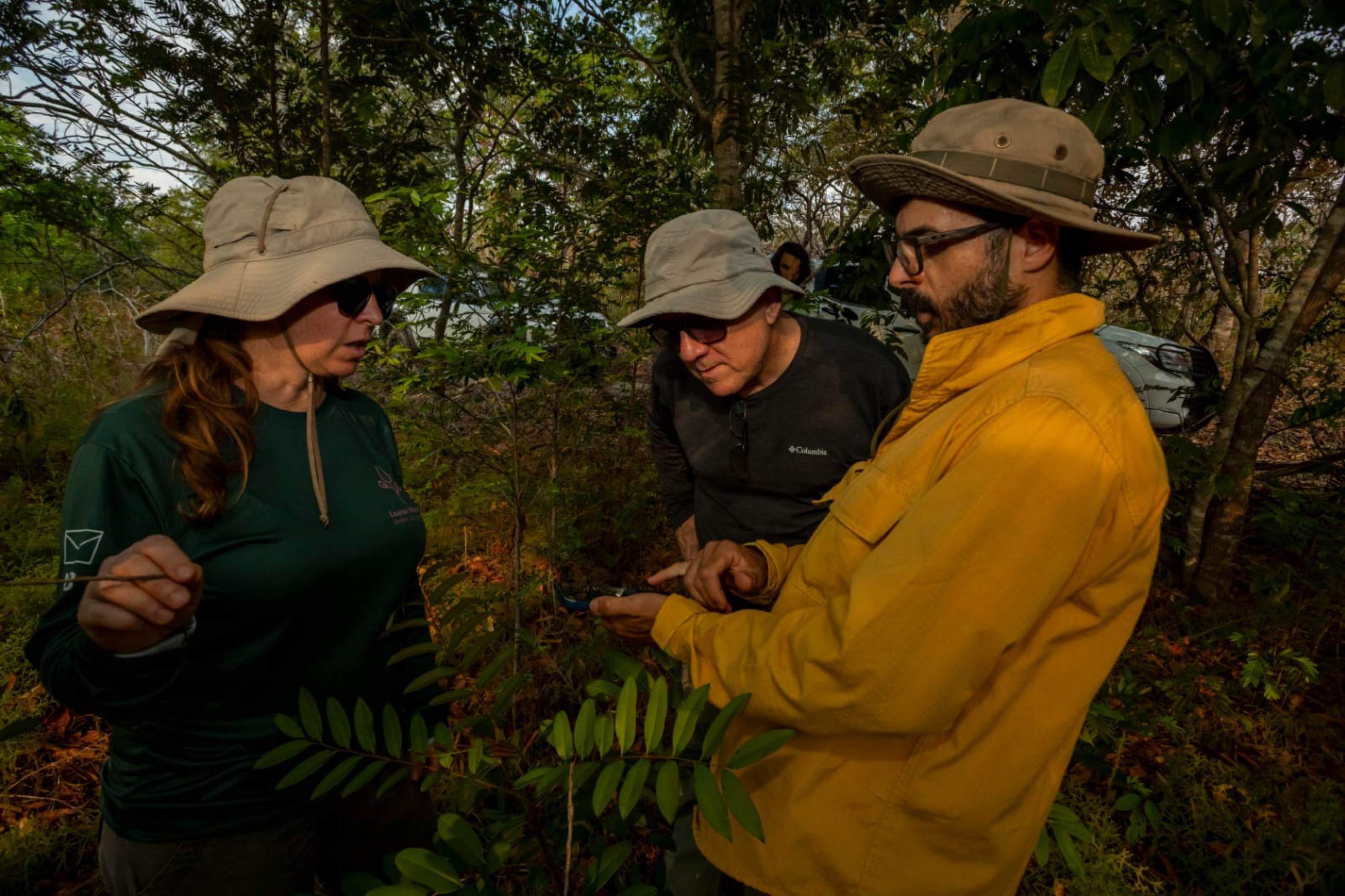 Em expedi&ccedil;&atilde;o ao Mato Grosso, pesquisadores da UnB estudam o efeito do fogo no Cerrado