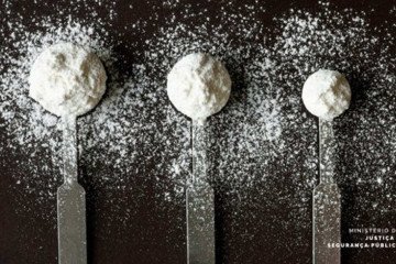 Notificação e registro do material foi realizado em apenas 19 dias - (crédito: Divulgação/Banco de Imagem/Ministério da Justiça e Segurança Pública) Notificação e registro do material foi realizado em apenas 19 dias - (crédito: Divulgação/Banco de Imagem/Ministério da Justiça e Segurança Pública)