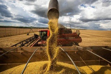 Produtores que mantiverem o Cadastro Ambiental Rural (CAR) regularizado terão desconto de 0,5 ponto percentual na taxa de juros das operações, mais 0,5 ponto se seguirem práticas sustentáveis -  (crédito: Agência Brasil)
