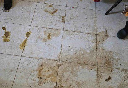 Mulher é presa por maus-tratos em apartamento do terror em Águas Claras
