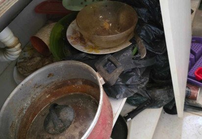 Polícia resgata duas gatas em condições de abandono e insalubridade 