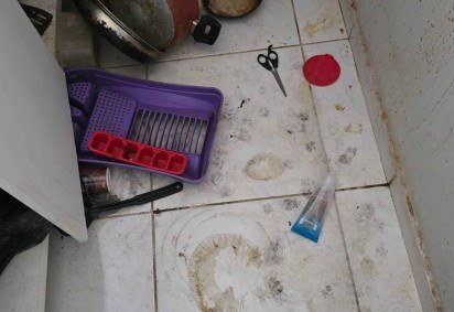 Polícia resgata duas gatas em condições de abandono e insalubridade 