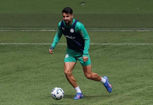 Cesar Greco/Palmeiras